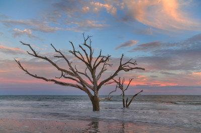 Botany Bay_11.jpg