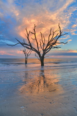 Botany Bay_12.jpg