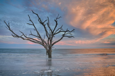 Botany Bay_13.jpg