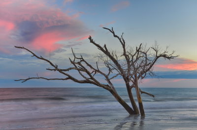 Botany Bay_14.jpg