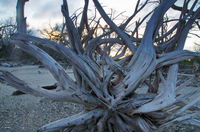 Botany Bay_15.jpg