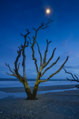 Botany Bay_16.jpg