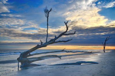 Botany Bay_17.jpg