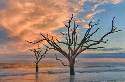 Botany Bay_18.jpg