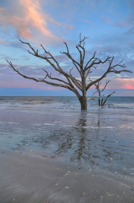 Botany Bay_19.jpg