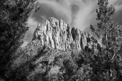 Zion National Park.jpg