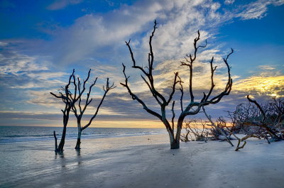 Botany Bay_20.jpg