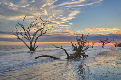 Botany Bay_21.jpg