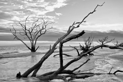 Botany Bay BW.jpg