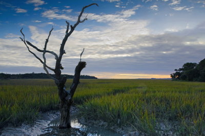Botany Bay Composite.jpg