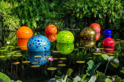 Chihuly Fairchild 2015_06.jpg