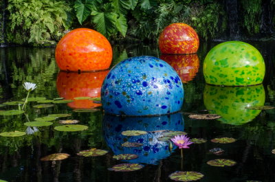 Chihuly Fairchild 2015_07.jpg