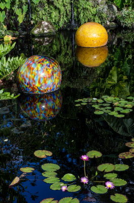 Chihuly Fairchild 2015_08.jpg