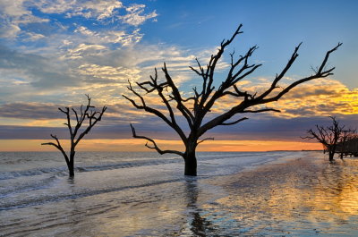 Botany Bay.jpg