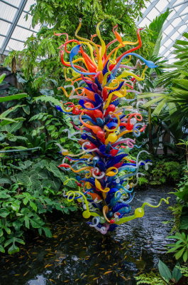 Chihuly Fairchild 2015_25.jpg