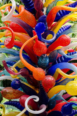 Chihuly Fairchild 2015_26.jpg