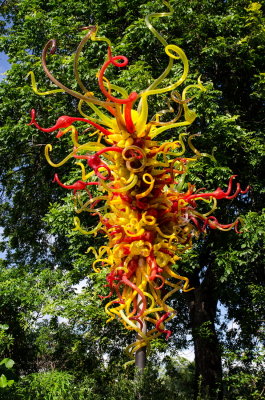Chihuly Fairchild 2015_45.jpg