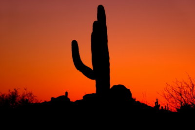 Arizona Sunset.jpg