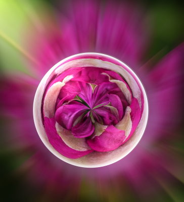 Rhododendron Sphere.jpg