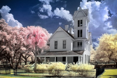 Fun with IR.jpg