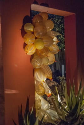 Chihuly Arizona-29.jpg