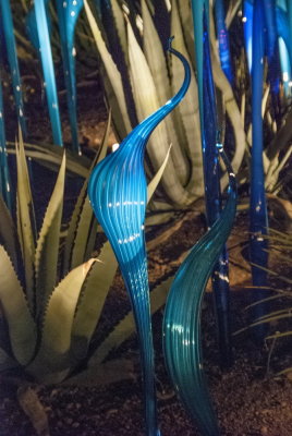 Chihuly Arizona-38.jpg