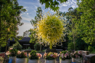 Chihuly 2016 Atlanta-24.jpg