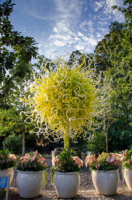 Chihuly 2016 Atlanta-27.jpg