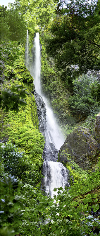Starvation Creek Falls