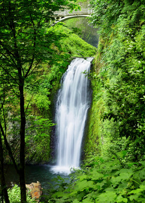 Multnomah Falls (lower)
