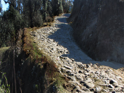 sandakphu road.jpg