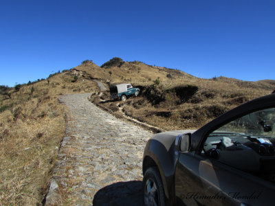 sandakphu road 2.jpg