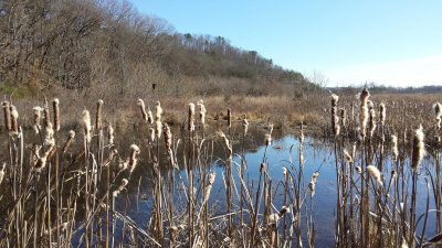 20170204_130504.jpg