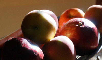 Fruit in morning sun