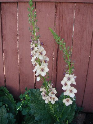 07-07-19