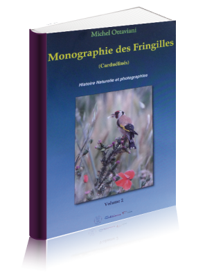 Monographie des fringilles