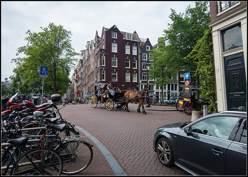 Horse Carriage