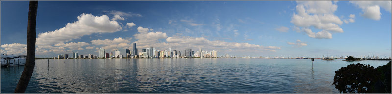 Miami Skyline I