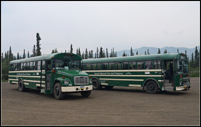 Shuttle Buses