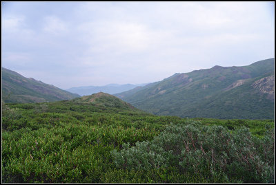 View from Polychrome