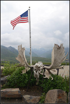 Skull and Flag
