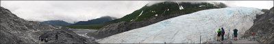 Exit Glacier IV