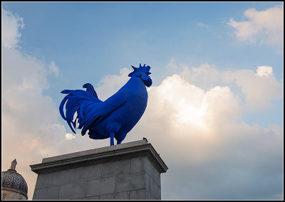 Giant Blue Rooster