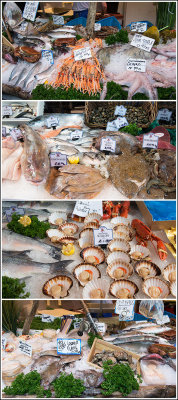 Market Fishes