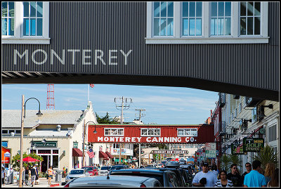 Cannery Row III