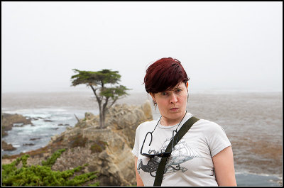 Lone Cypress V