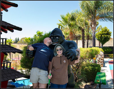 Gorilla I