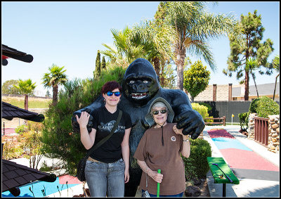 Gorilla II