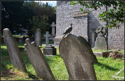 St. David's Graveyard III