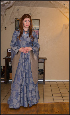 Sansa Stark I
